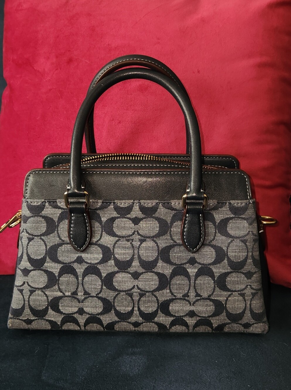 Coach - Picture 2 of 11